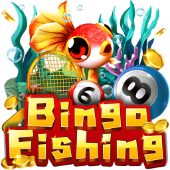 Bingo Fishing table plus