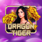 Dragon Tiger table plus live casino
